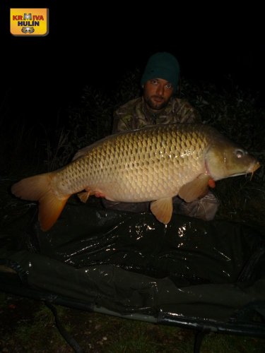 18kg, sumčí boilies 