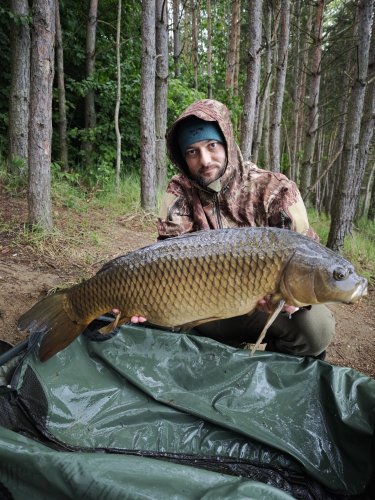 Boilies Pikantní perník