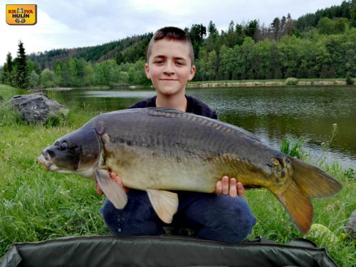 Boilies mléčná kukuřice.