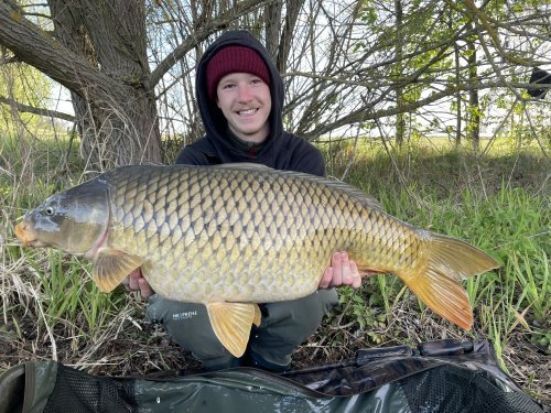 Boilies Pikantní krill, pop up Bílý pepř
