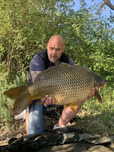 Boilies wafters Krill a oliheň