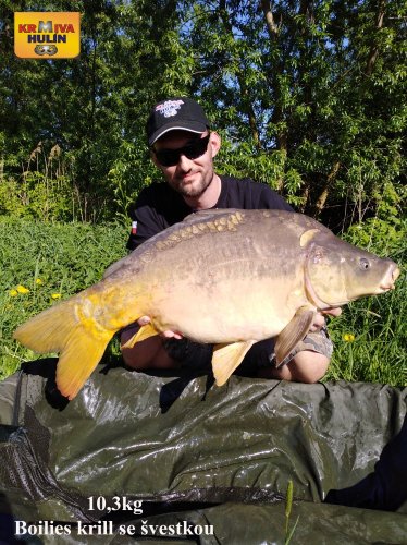 10,3kg, boilies krill se švestkou, svazová voda