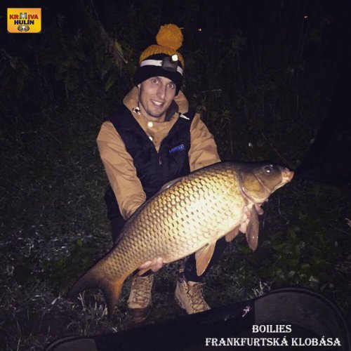 Boilies frankfurtská klobása