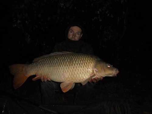 Boilies Calypso