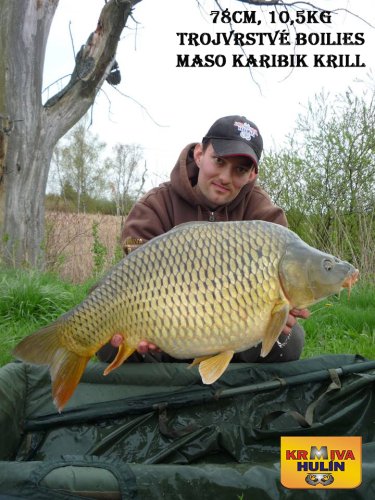 78cm, 10,5kg, trojvrstvé boilies Maso/Karibik/Krill, pop up Krill/Oliheň, svazová voda