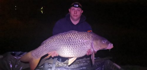 Boilies Karibik