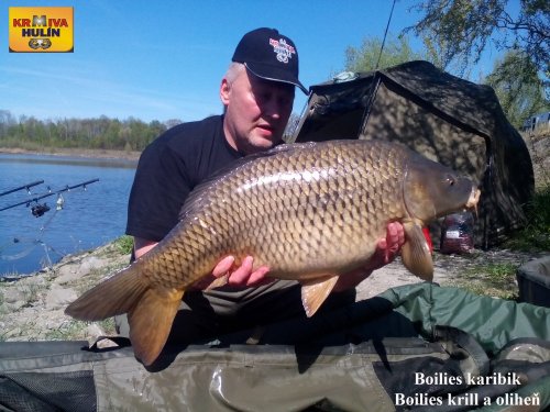 12kg, Boilies karibik + krill/oliheň