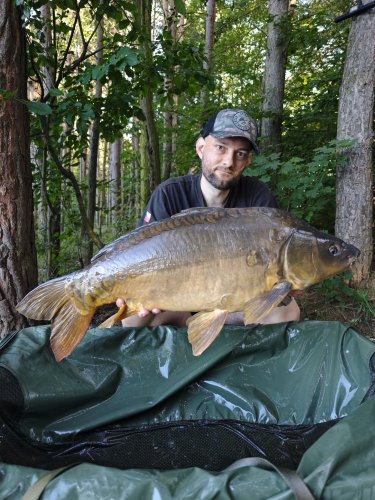 Boilies Pikantní perník