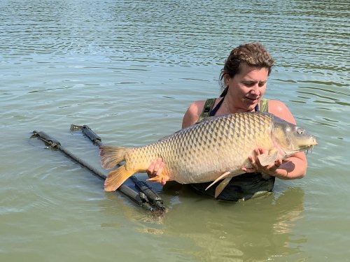16kg, Boilies Amur speciál