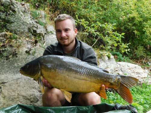 Boilies Frankfurtská klobása, pop up Pikantní jahoda