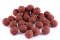 Wafters - Vyvážené Korkové Boilies - KRILL a  OLIHEŇ - Ø 24 mm (Krmiva Hulín, BCNK24-1) | Krmiva Hulín