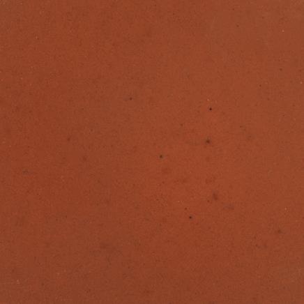 TROPICAL GEL CARNIVOROUS - Vyberte balení: 1000 ml / 3 x 35 g