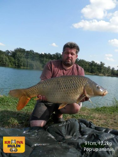 91cm, 12,2kg, Pop up Ananas