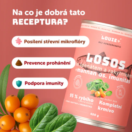 LOSOS S RAKYTNÍKEM, ŠPENÁTEM A PREBIOTIKY 800 g - Konzerva pro psy Louie - Počet ks: 1 ks