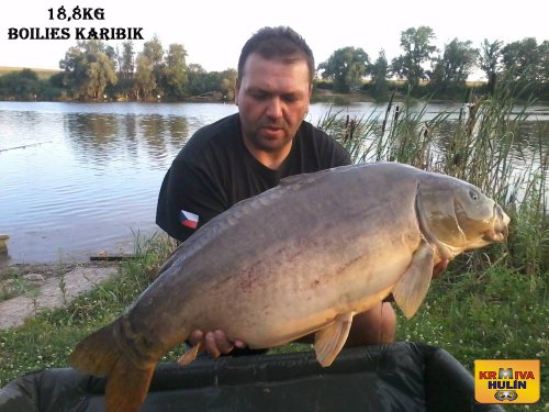 18,8kg, boilies Karibik