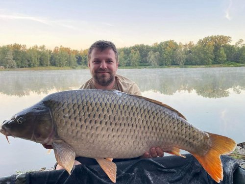 Boilies Pikantní krill