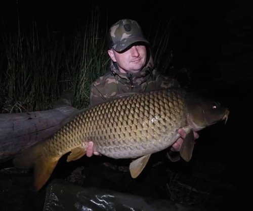 Boilies Pikantní krill