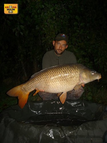 14kg, sumčí boilies