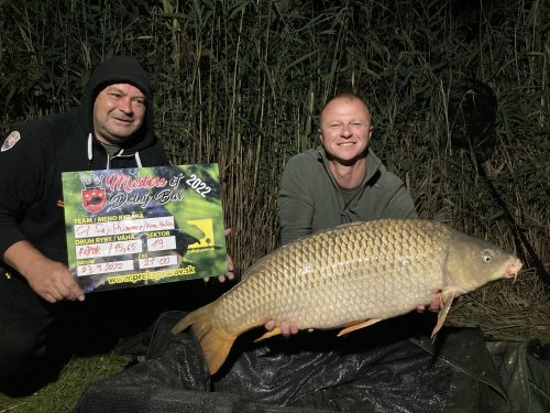 Boilies Bioactiv paste - Monster crab s Krillem a olihňí