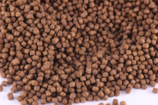 Plovoucí krmivo - GROWER 13 EF - Coppens - Ø 4,5 mm - Vyberte balení: 1 kg