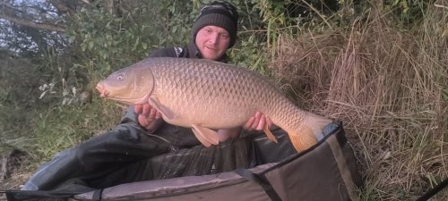 Boilies Calypso v dipu