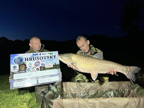 Boilies Mefisto