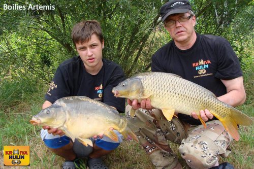 Boilies Artemis