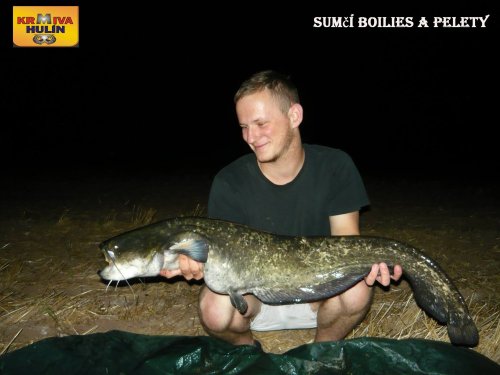Sumčí boilies a pelety