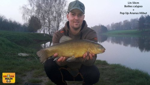 Boilies Calypso, pop up Ananas/Halibut