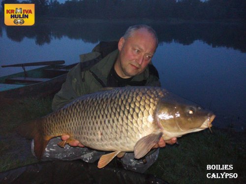 Boilies Calypso