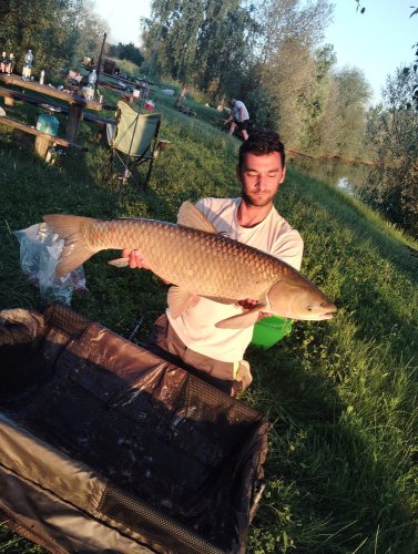 Boilies Pomeranč a chilli