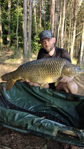 Boilies Pikantní perník