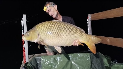 Boilies Pikantní perník