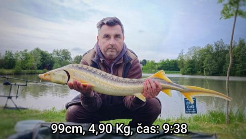 Boilies Pikantní jahoda