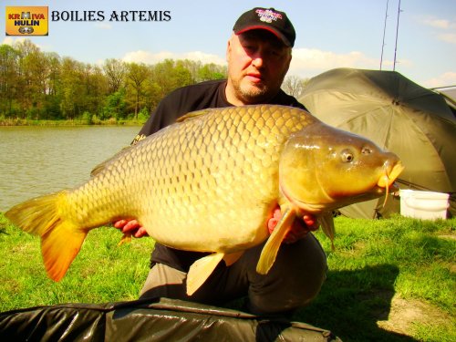 Boilies artemis
