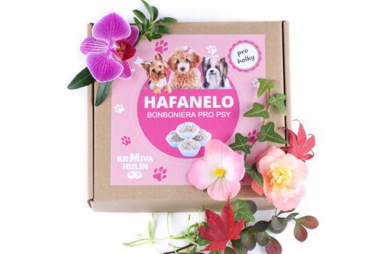 BONBONIÉRA PRO PSÍ HOLKY - HAFANELO - Obalované Dortíčky 16 ks - 500 g (Krmiva Hulín, BHH-1) | Krmiva Hulín