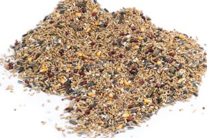 Krmivo Avest - PRO HLODAVCE 30 (Avest, KPH30-1) | Krmiva Hulín Krmivo Avest - PRO HLODAVCE 30 (Avest, KPH30-1) | Krmiva Hulín