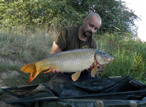 Boilies Calypso