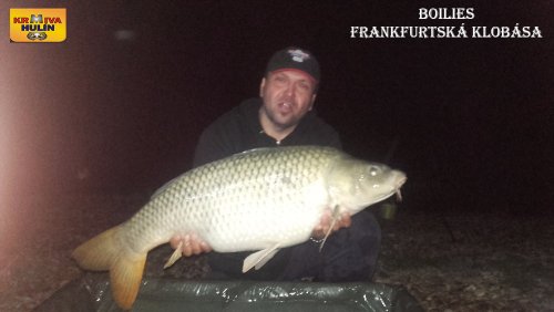 Boilies frankfurtská klobása
