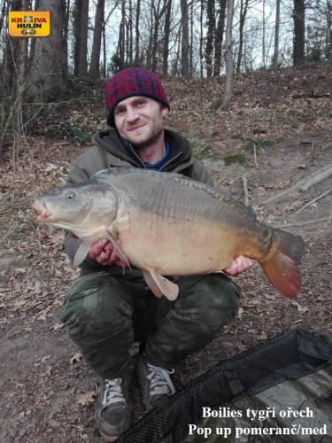 Boilies pomeranč a chilli.
