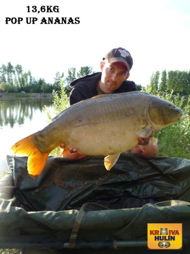 13,6kg, zig rig - pop up Ananas