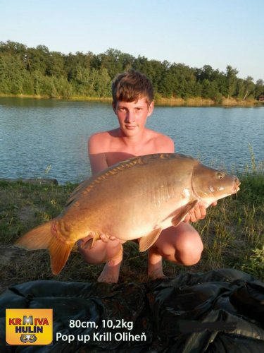 80cm, 10,2kg, pop up Krill/Oliheň