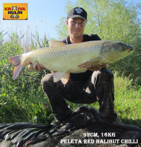 92cm, peleta Red halibut chilli