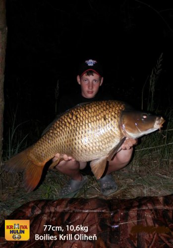 77cm, 10,6kg, boilies Krill/Oliheň, svazová voda