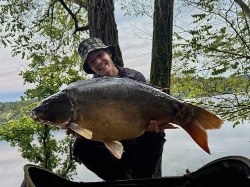 21+, boilies Pikantní krill