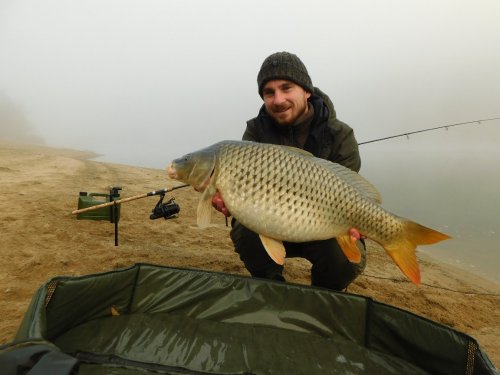 Boilies Krill a oliheň