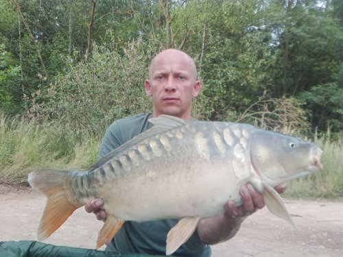 Boilies Krill a oliheň
