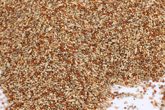 Krmivo Avest - PRO ANDULKY 04 - Vyberte balení: 500 g