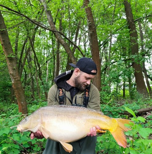 Boilies Mefisto