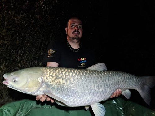 16kg, Boilies Mefisto